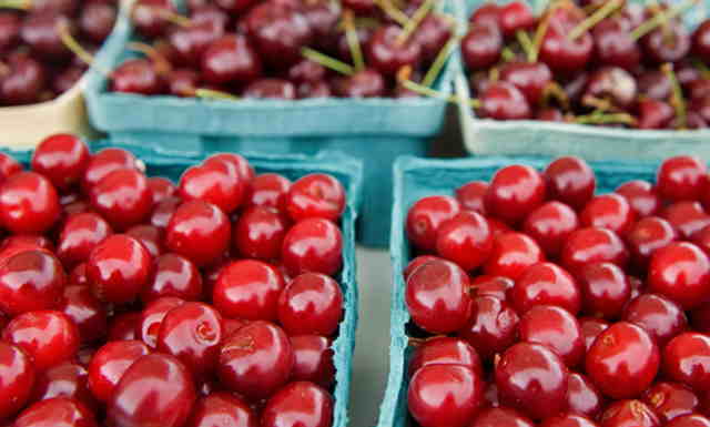 Вишня - полезные свойства вишни для диабетика
