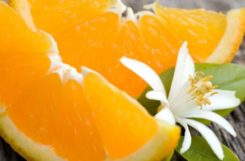 Апельсины при сахарном диабете: чем полезен, состав