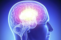 Атеросклероз сосудов головного мозга: симптомы и лечение бляшек, диагностика заболевания