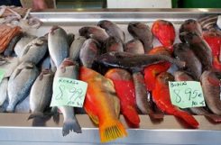 Можно ли есть рыбу при сахарном диабете? Польза морепродуктов