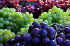 Польза винограда при сахарном диабете: сколько винограда можно есть диабетику