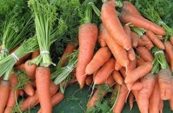Можно ли есть морковь и пить морковный сок при сахарном диабете?