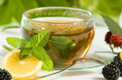 Какие травы и растения используют, когда готовят "Монастырский чай" от диабета?