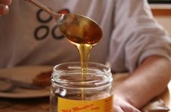 Можно ли есть мед при сахарном диабете? Польза и вред меда для диабетиков
