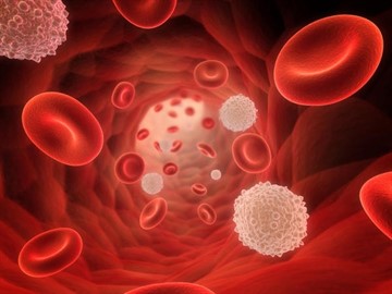 Анализ крови гликозилированный гемоглобин повышен thumbnail