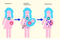 Антирезусный иммуноглобулин