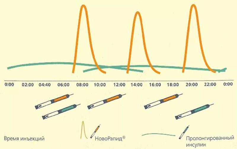 Инсулиновый шок. График действия инсулина новорапид. Схема короткого и длинного инсулина. Новорапид инсулин короткого. Инсулин короткого действия схема.