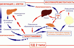 Повышенный инсулин в крови