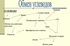 Какие гипогликемические препараты популярны?