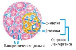 Как победить сахарный диабет 1 типа?