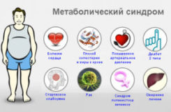 Метаболический синдром в организме человека