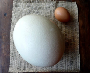 Можно ли есть яйца при сахарном диабете 2 типа: куриные, сырые