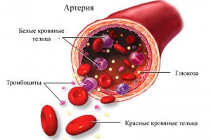 Гормоны, регулирующие уровень глюкозы (сахара) в крови