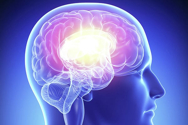 Атеросклероз сосудов головного мозга: симптомы и лечение бляшек, диагностика заболевания