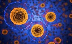 Как лечат диабет стволовыми клетками: влияние на организм