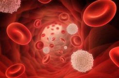Гликозилированный гемоглобин повышен: что это значит, как сдавать анализ